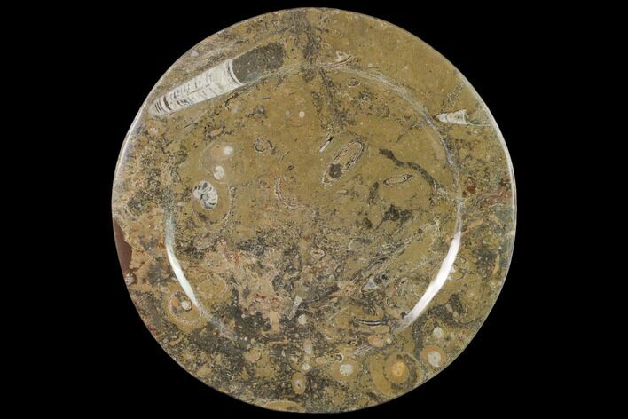 Fossil Orthoceras & Goniatite Round Plate - Stoneware #140074